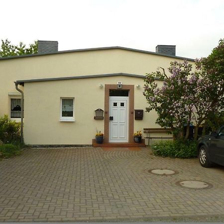 Pension Rosenvilla Sedlitz Extérieur photo